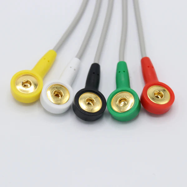 Cable de ECG Philips M1736A compatible con 5 conductores, conector IEC estándar europeo de 8 pines.